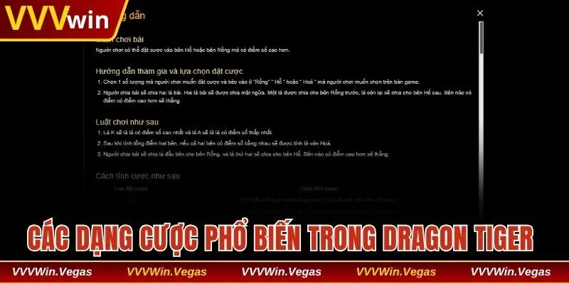 Các dạng cược phổ biến trong Dragon Tiger