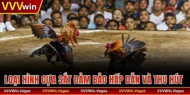 Loại hình cựa sắt đảm bảo hấp dẫn và thu hút